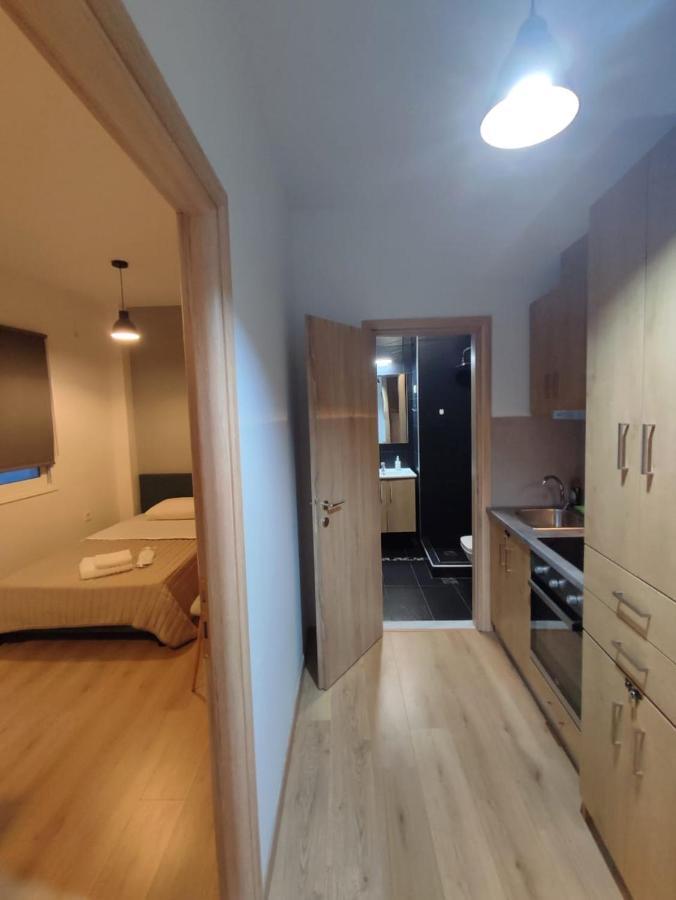 אתונה Ulysses Apartments Syntagma מראה חיצוני תמונה